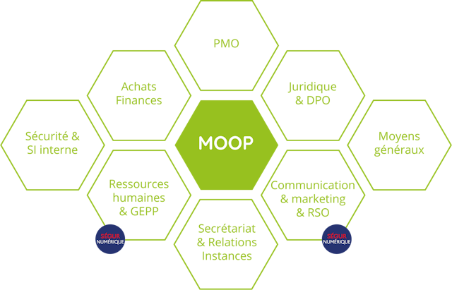Illustration présentant sous forme d'alvéoles le département MOOP du groupement e-santé occitanie.