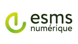 Représentation du logo ESMS Numérique pour accompagner l'encart des ressources complémentaires.